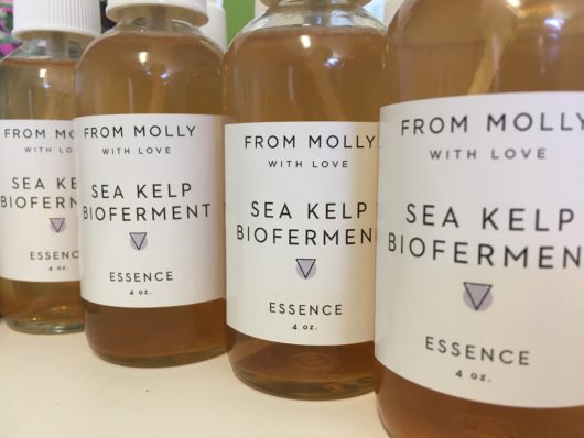 Sea Kelp Bioferment Essence